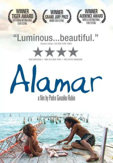 《拥抱大海》：治愈系暖心之作，小人物的闪光点，带你重拾生活的勇气！