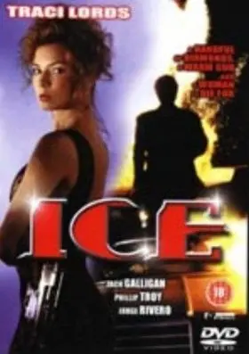 《虎胆神偷》：智商爆表的盗窃艺术，一场紧张刺激的猫鼠游戏