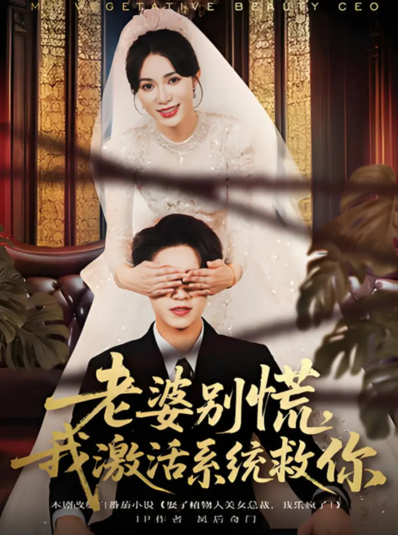 《老婆别慌，我激活系统救你》：反套路异世界冒险，拯救老婆的爆笑征途