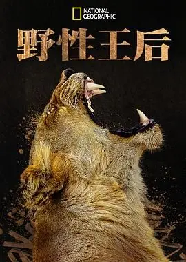 《野性王后》：一部颠覆认知的非洲女王史诗，揭秘权力、生存与母性的极致交织
